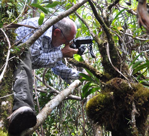 Jacques, le sanglier photographe